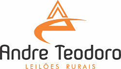 Andre Teodoro Leilões